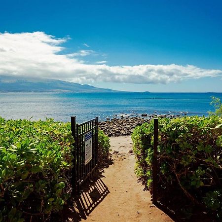 Stunning Maui Direct Ocean Front On The Beach, Walk To Beach From Condo, Watch Turtles, Whales, Ac In All Rooms Ocean View Pool And Spa Wailuku Ngoại thất bức ảnh