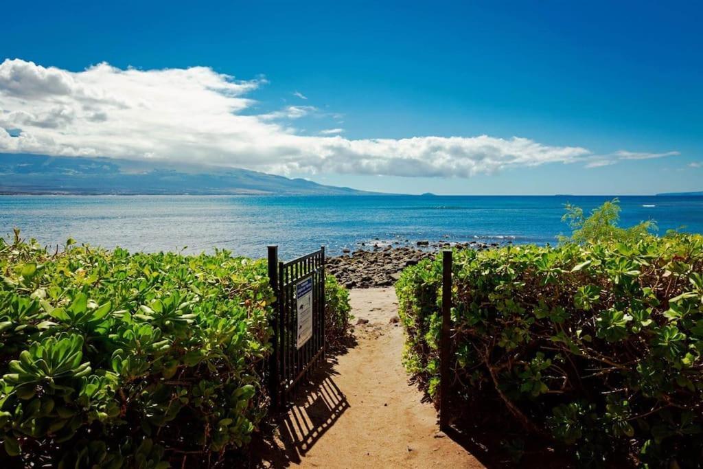 Stunning Maui Direct Ocean Front On The Beach, Walk To Beach From Condo, Watch Turtles, Whales, Ac In All Rooms Ocean View Pool And Spa Wailuku Ngoại thất bức ảnh
